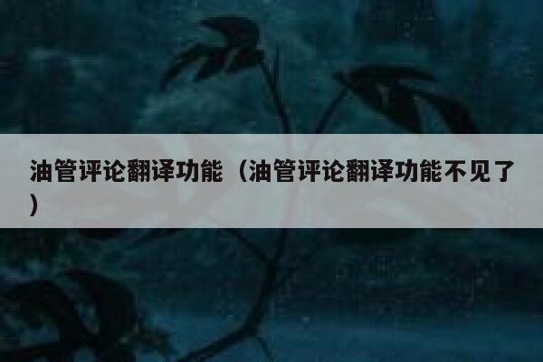 油管评论翻译功能（油管评论翻译功能不见了） 第1张