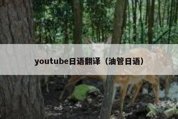 youtube日语翻译（油管日语） 第1张