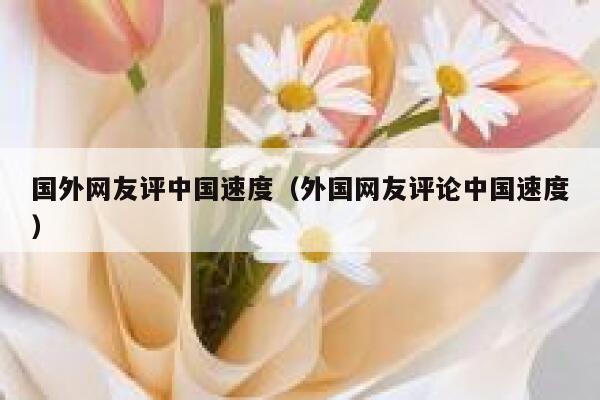 国外网友评中国速度（外国网友评论中国速度） 第1张
