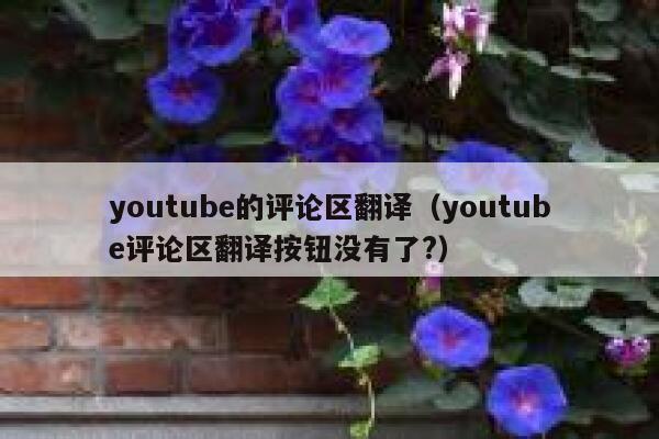 youtube的评论区翻译（youtube评论区翻译按钮没有了?） 第1张