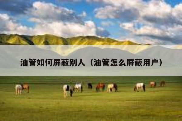 油管如何屏蔽别人（油管怎么屏蔽用户） 第1张
