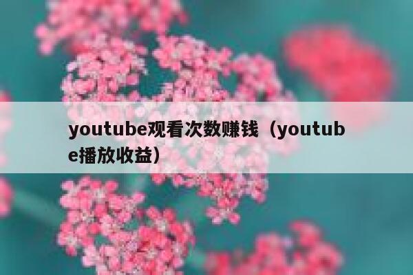 youtube观看次数赚钱（youtube播放收益） 第1张