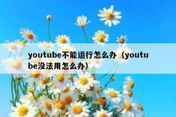 youtube不能运行怎么办（youtube没法用怎么办） 第1张