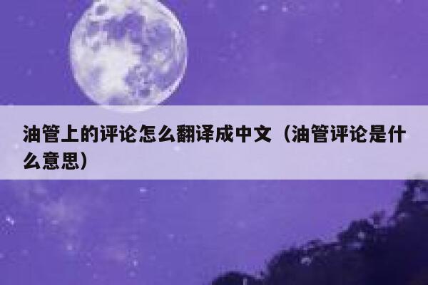 油管上的评论怎么翻译成中文（油管评论是什么意思） 第1张