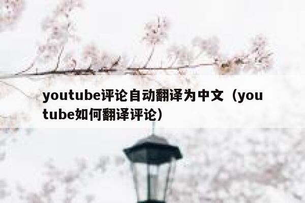 youtube评论自动翻译为中文（youtube如何翻译评论） 第1张