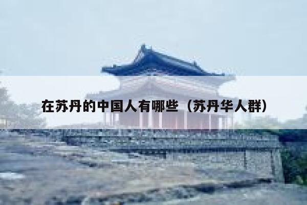 在苏丹的中国人有哪些（苏丹华人群） 第1张