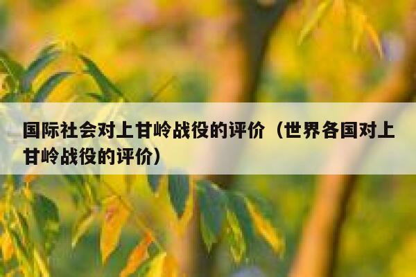 国际社会对上甘岭战役的评价（世界各国对上甘岭战役的评价） 第1张