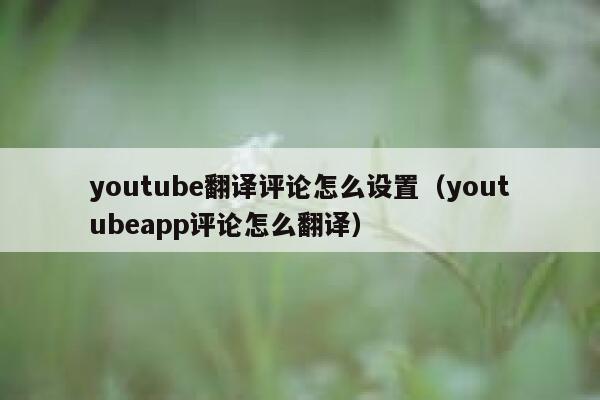youtube翻译评论怎么设置（youtubeapp评论怎么翻译） 第1张