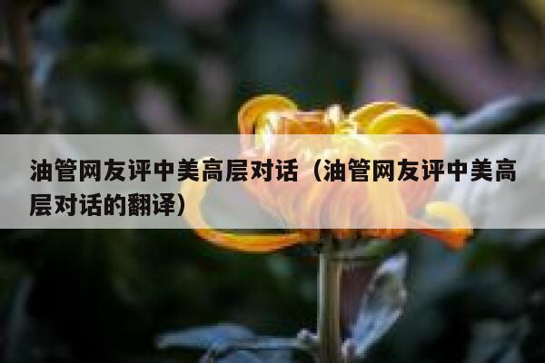 油管网友评中美高层对话（油管网友评中美高层对话的翻译） 第1张