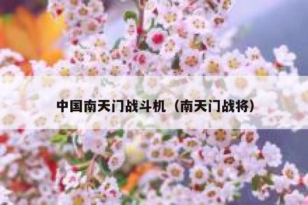 中国南天门战斗机（南天门战将） 第1张