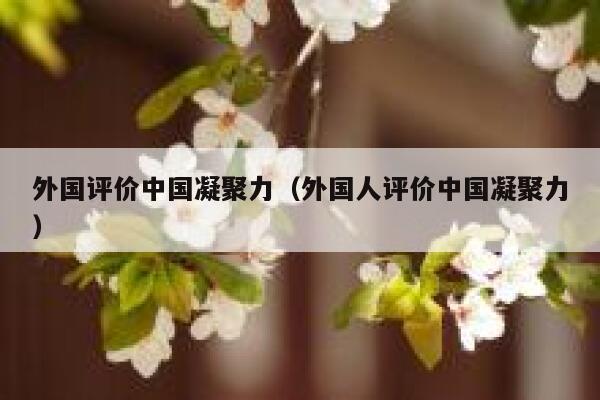 外国评价中国凝聚力（外国人评价中国凝聚力） 第1张