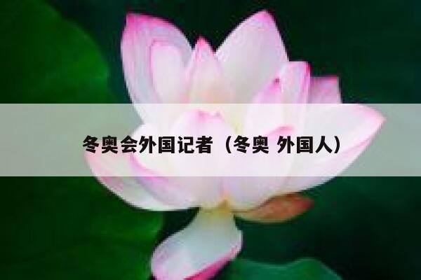 冬奥会外国记者（冬奥 外国人） 第1张