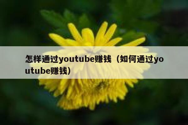怎样通过youtube赚钱（如何通过youtube赚钱） 第1张