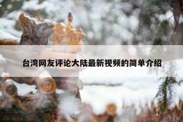 台湾网友评论大陆最新视频的简单介绍 第1张
