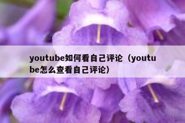 youtube如何看自己评论（youtube怎么查看自己评论） 第1张