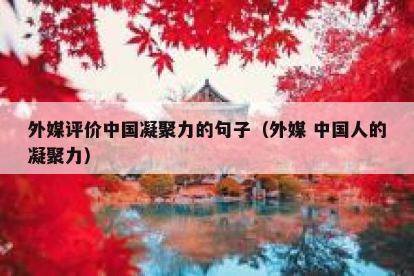 外媒评价中国凝聚力的句子（外媒 中国人的凝聚力） 第1张