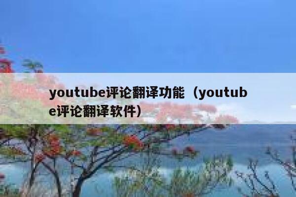 youtube评论翻译功能（youtube评论翻译软件） 第1张
