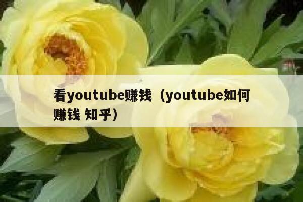 看youtube赚钱（youtube如何赚钱 知乎） 第1张