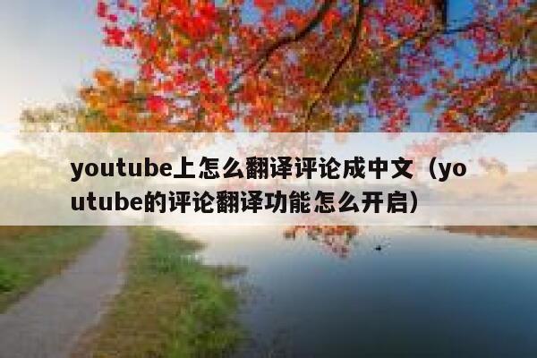 youtube上怎么翻译评论成中文（youtube的评论翻译功能怎么开启） 第1张