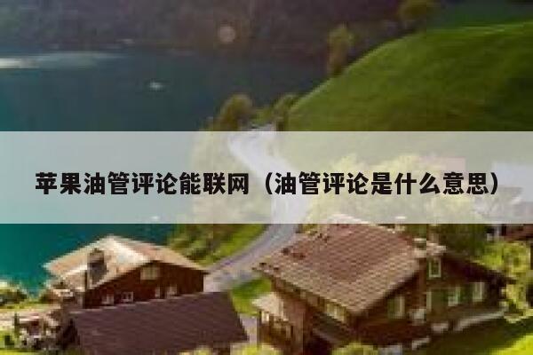 苹果油管评论能联网（油管评论是什么意思） 第1张