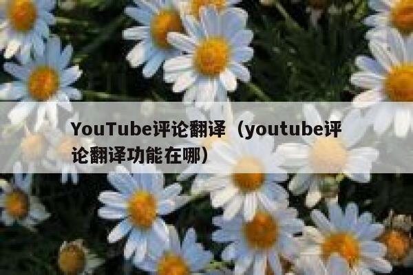 YouTube评论翻译（youtube评论翻译功能在哪） 第1张