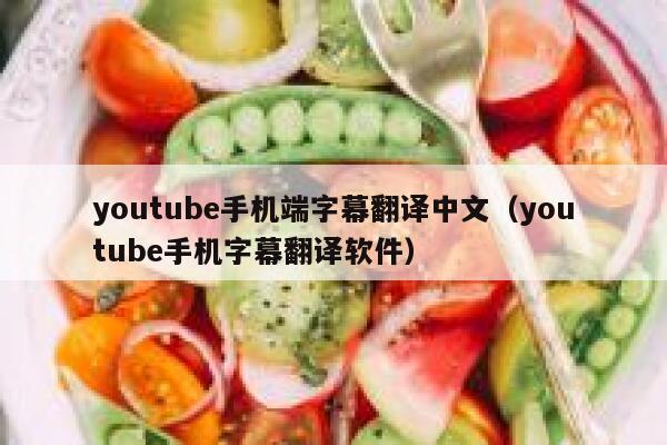 youtube手机端字幕翻译中文（youtube手机字幕翻译软件） 第1张