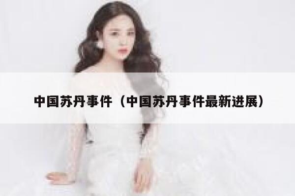 中国苏丹事件（中国苏丹事件最新进展） 第1张