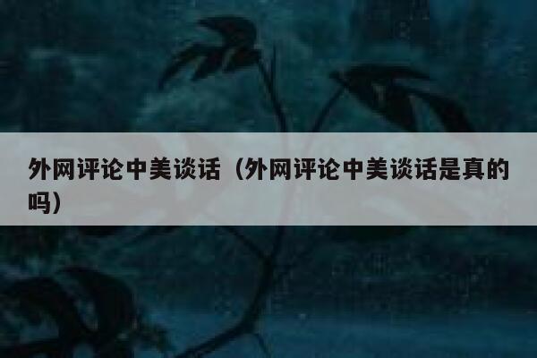 外网评论中美谈话（外网评论中美谈话是真的吗） 第1张