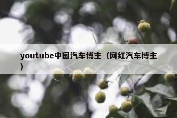 youtube中国汽车博主（网红汽车博主） 第1张