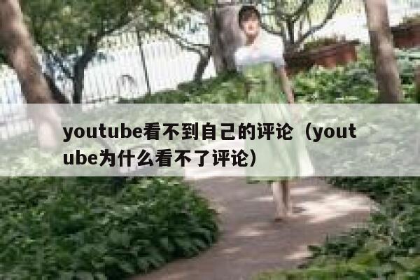 youtube看不到自己的评论（youtube为什么看不了评论） 第1张