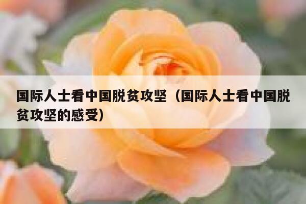 国际人士看中国脱贫攻坚（国际人士看中国脱贫攻坚的感受） 第1张