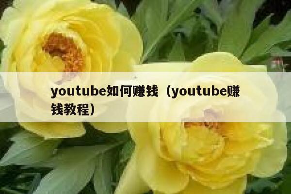 youtube如何赚钱（youtube赚钱教程） 第1张