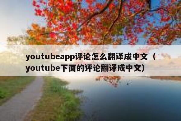 youtubeapp评论怎么翻译成中文（youtube下面的评论翻译成中文） 第1张
