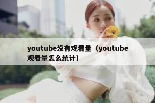 youtube没有观看量（youtube观看量怎么统计） 第1张