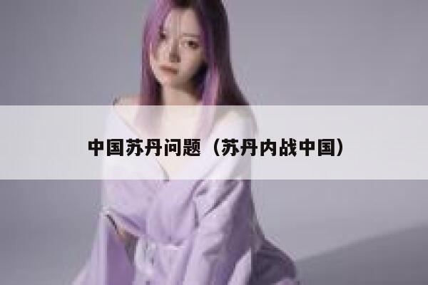 中国苏丹问题（苏丹内战中国） 第1张