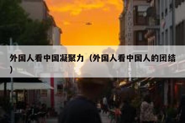 外国人看中国凝聚力（外国人看中国人的团结） 第1张