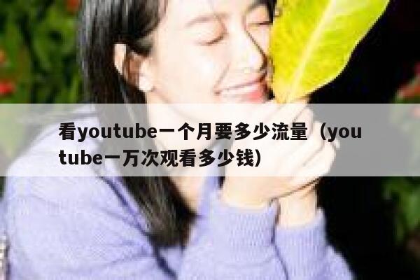 看youtube一个月要多少流量（youtube一万次观看多少钱） 第1张