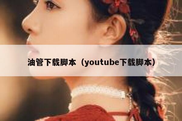 油管下载脚本（youtube下载脚本） 第1张