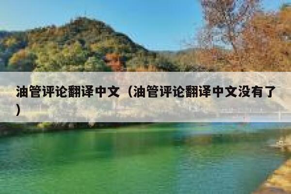 油管评论翻译中文（油管评论翻译中文没有了） 第1张