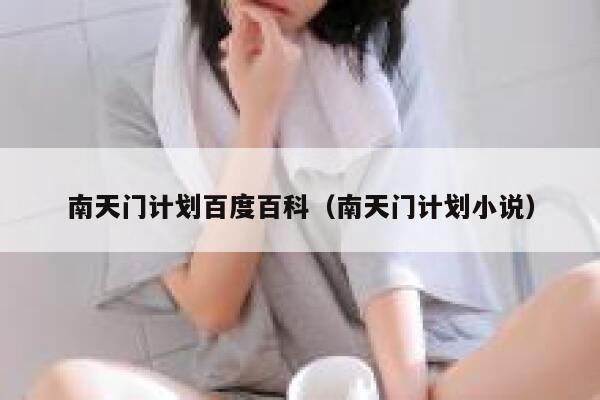 南天门计划百度百科（南天门计划小说） 第1张