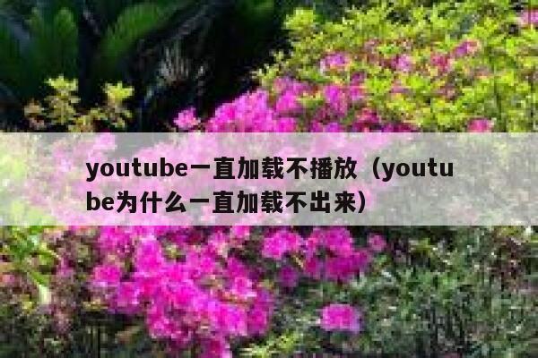 youtube一直加载不播放（youtube为什么一直加载不出来） 第1张