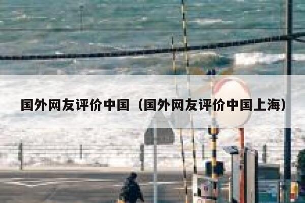 国外网友评价中国（国外网友评价中国上海） 第1张