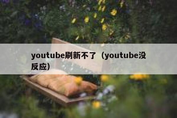 youtube刷新不了（youtube没反应） 第1张
