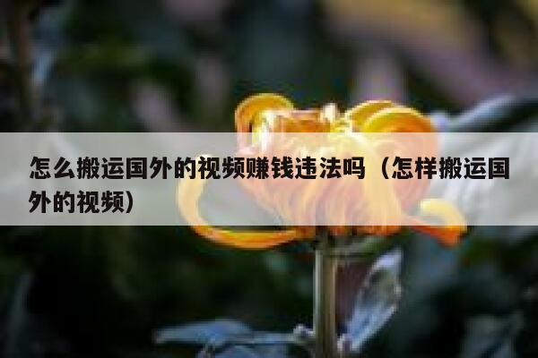 怎么搬运国外的视频赚钱违法吗（怎样搬运国外的视频） 第1张