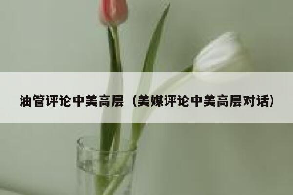 油管评论中美高层（美媒评论中美高层对话） 第1张