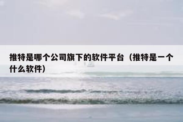 推特是哪个公司旗下的软件平台（推特是一个什么软件） 第1张