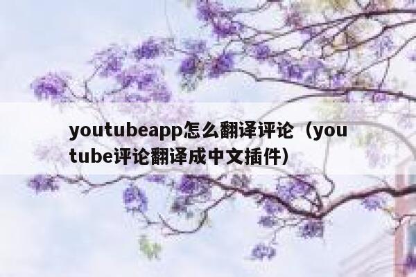 youtubeapp怎么翻译评论（youtube评论翻译成中文插件） 第1张