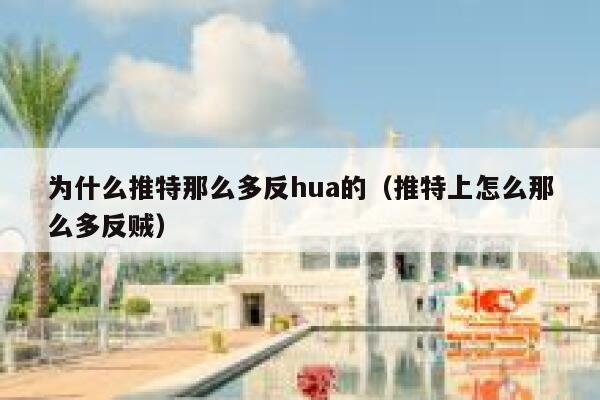 为什么推特那么多反hua的（推特上怎么那么多反贼） 第1张