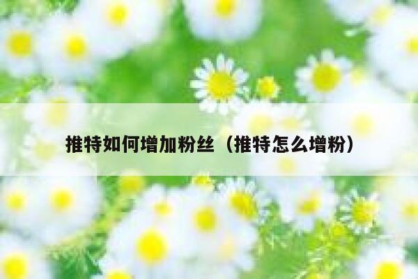 推特如何增加粉丝（推特怎么增粉） 第1张