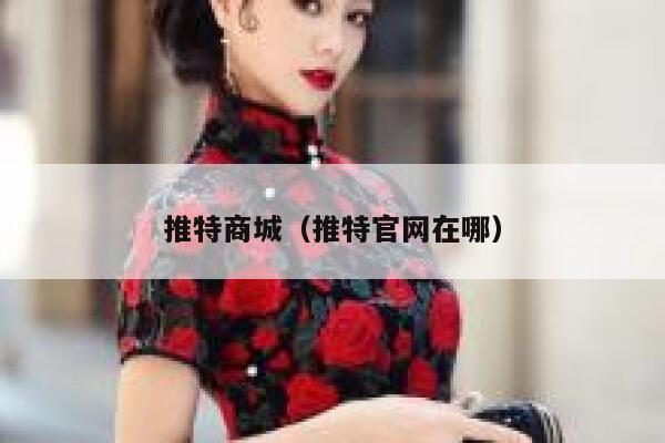 推特商城（推特官网在哪） 第1张